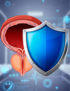 Prostate Protection and Health